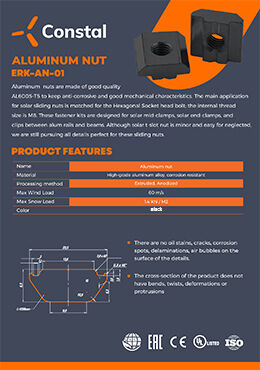 Aluminum nut - black.jpg